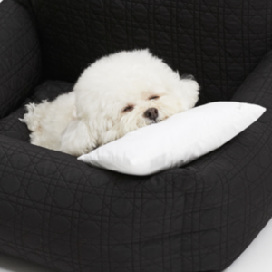 Louisdog Silky Dreamer Pillow